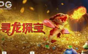 ayx入口2024最新版